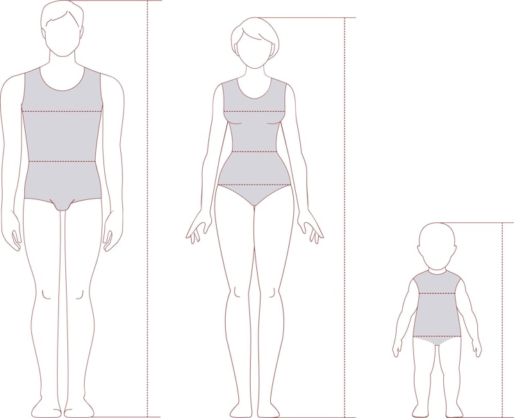 Vector plantilla de cuerpo masculino y femenino para moda y diseño médico