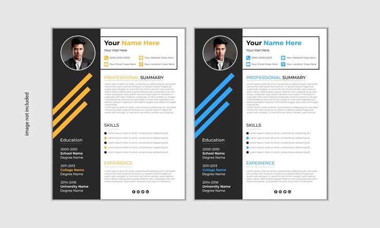 Plantilla de currículum profesional Diseño de currículums modernos y personalizables para solicitudes de trabajo