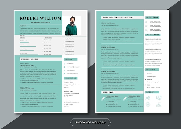Plantilla de curriculum profesional