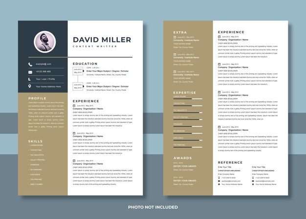 Plantilla del curriculum vitae