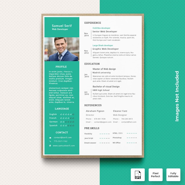 Plantilla de CV profesional verde CV Vector Premium