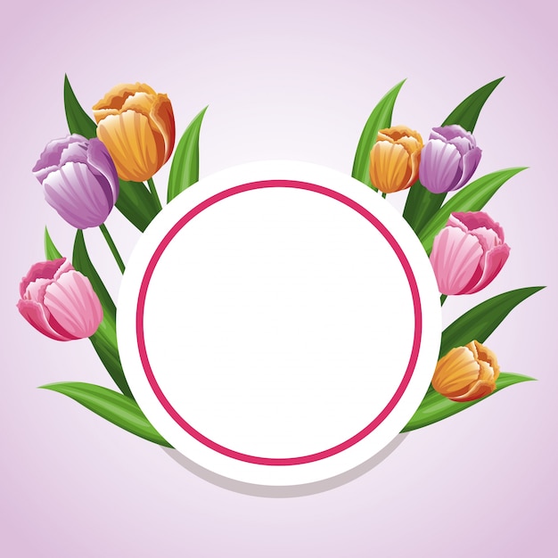 Vector plantilla de decoración de flores tulipán tarjeta