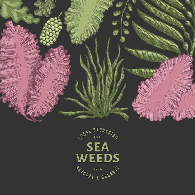 Plantilla de diseño de algas.