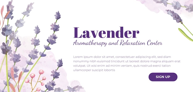 plantilla de diseño de banner de lavanda