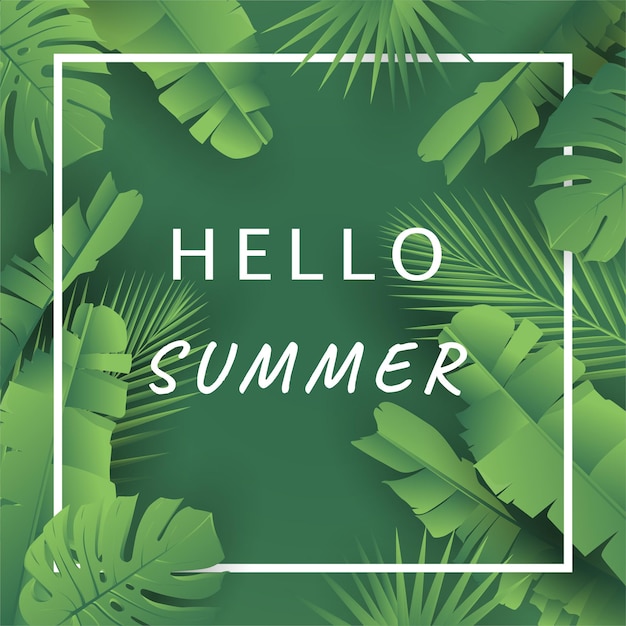 Plantilla de diseño de banner tropical de verano con hojas de palmera