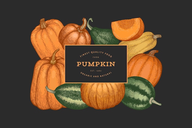 Plantilla de diseño de color calabaza Vector ilustraciones dibujadas a mano Fondo de acción de gracias en estilo retro con cosecha de calabaza Fondo de otoño
