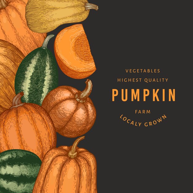Plantilla de diseño de color calabaza Vector ilustraciones dibujadas a mano Fondo de acción de gracias en estilo retro con cosecha de calabaza Fondo de otoño