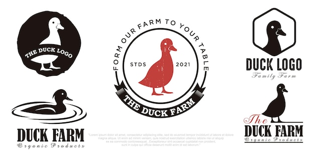 Plantilla de diseño de conjunto de iconos de ilustración de vector de logotipo de pato