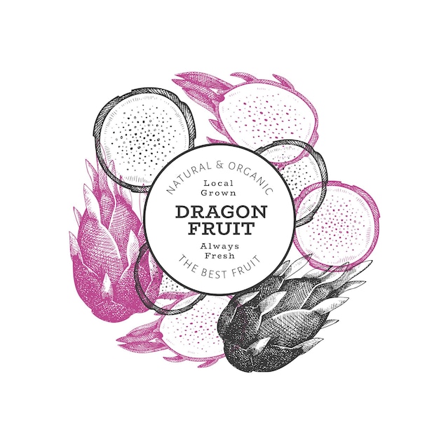 Plantilla de diseño de fruta de dragón dibujada a mano.