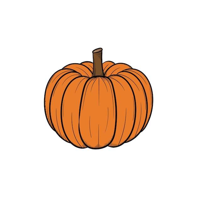 Plantilla de diseño de ilustración de dibujado a mano de calabaza aislada