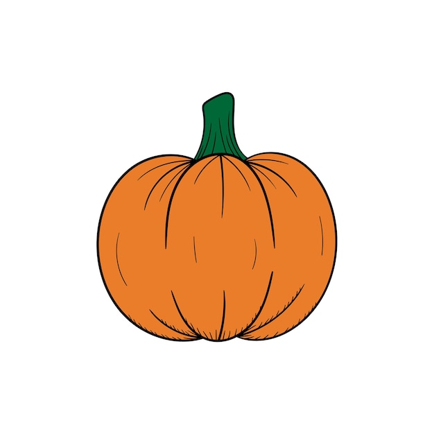 Plantilla de diseño de ilustración de dibujado a mano de calabaza aislada