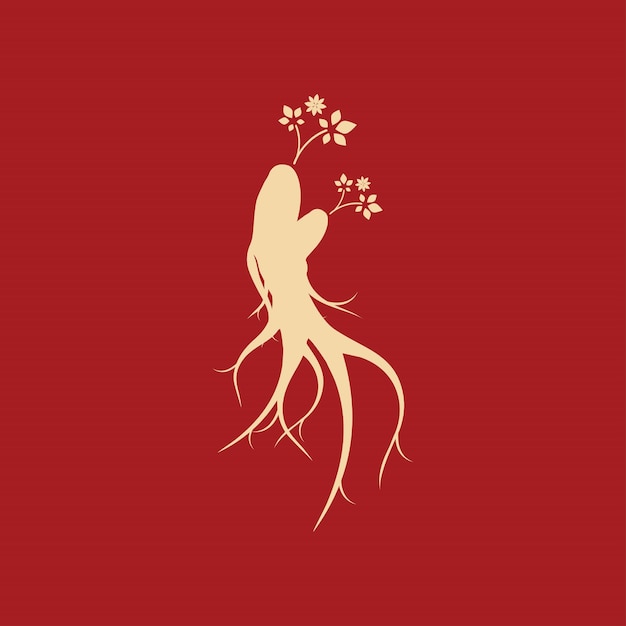 Vector plantilla de diseño de ilustración de icono de vector de ginseng