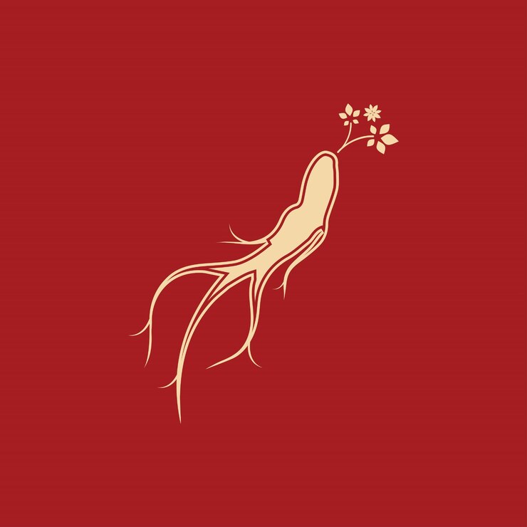 Vector plantilla de diseño de ilustración de icono de vector de ginseng