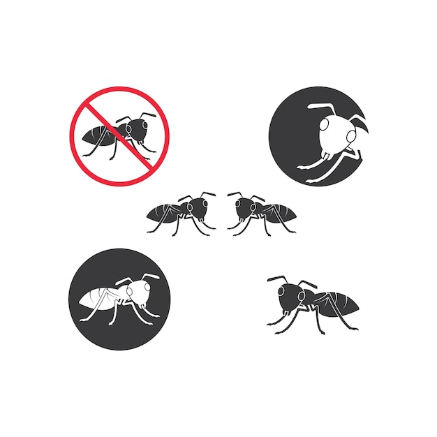 Plantilla de diseño de ilustración de icono de vector de hormiga