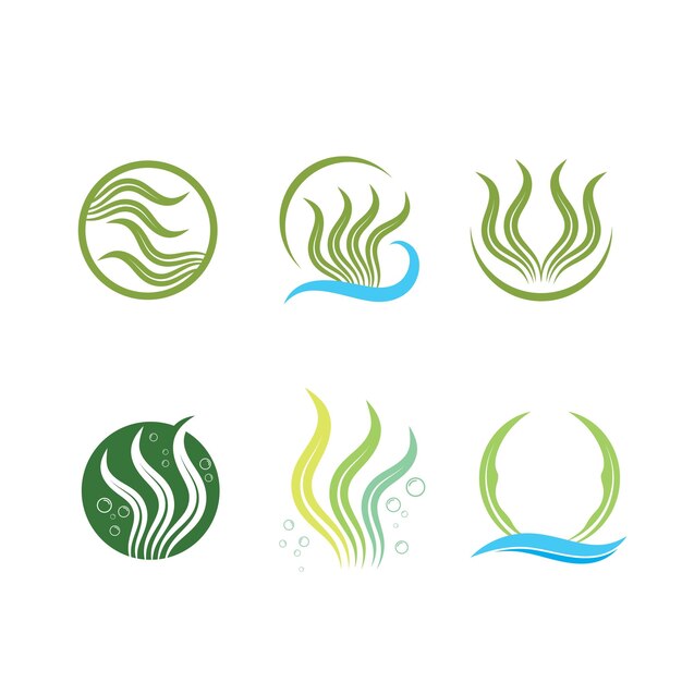 Plantilla de diseño de ilustración de vector de icono de algas marinas