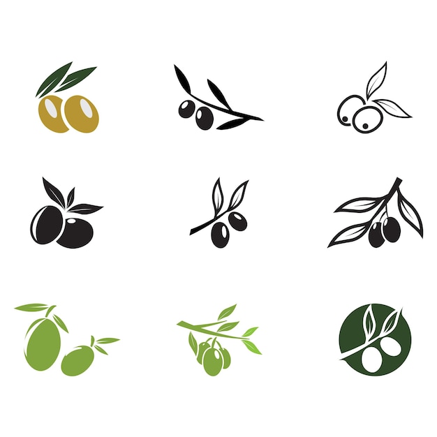 Plantilla de diseño de ilustración de vector de icono de oliva