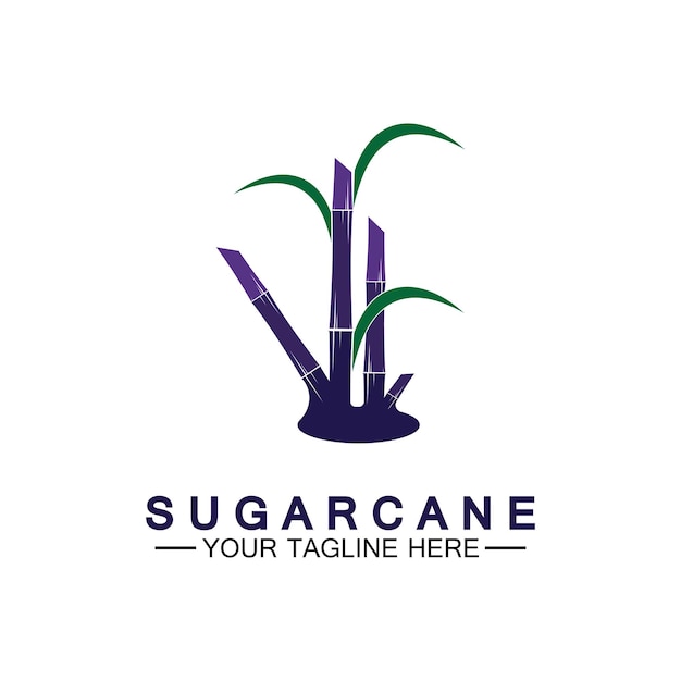 Plantilla de diseño de ilustración de vector de símbolo de icono de logotipo de caña de azúcar