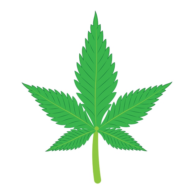 plantilla de diseño de ilustración vectorial del icono de la hoja de marihuana