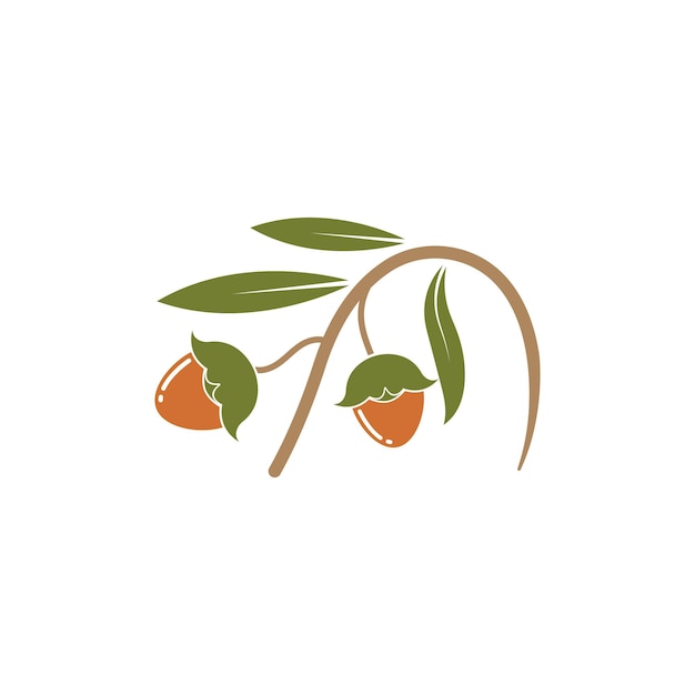 Plantilla de diseño de ilustración vectorial de nueces de jojoba