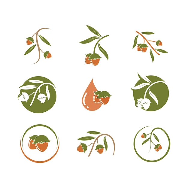 Plantilla de diseño de ilustración vectorial de nueces de jojoba