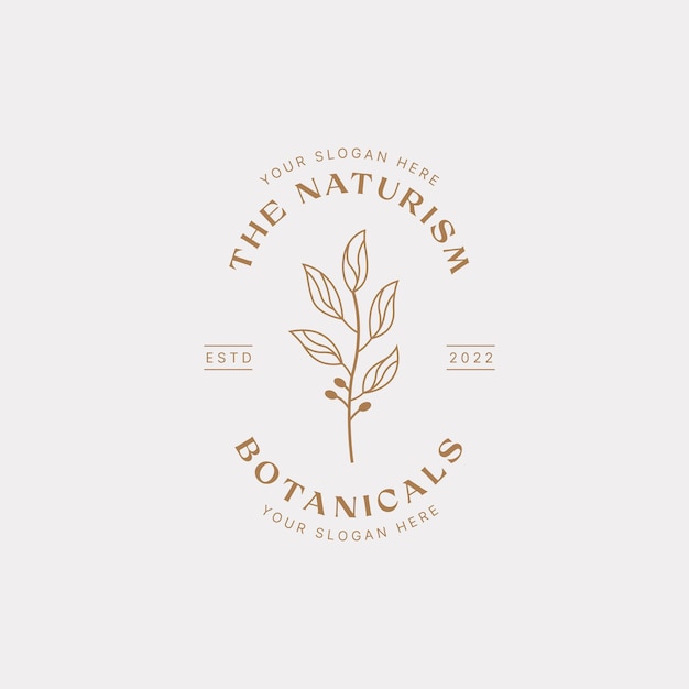 Plantilla de diseño de logotipo botánico aceite de oliva logotipo floral logotipo femenino logotipo de belleza