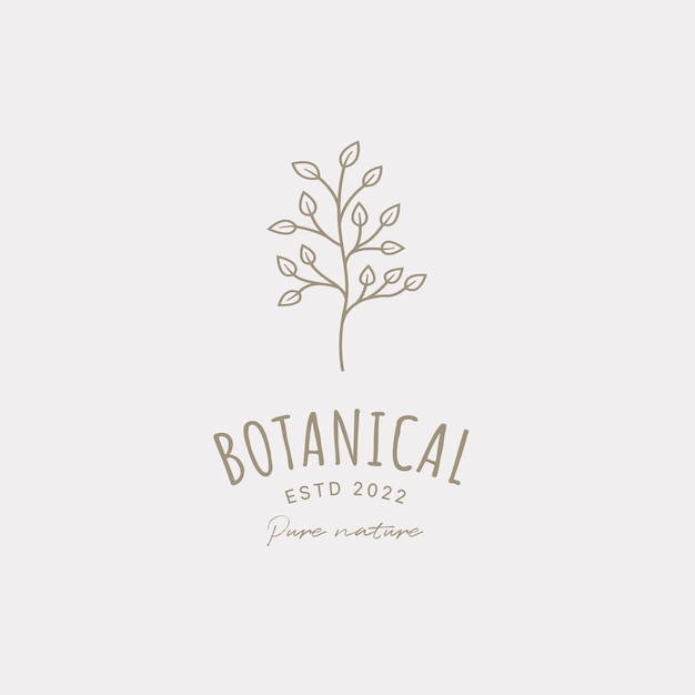 Plantilla de diseño de logotipo botánico aceite de oliva logotipo floral logotipo femenino logotipo de belleza