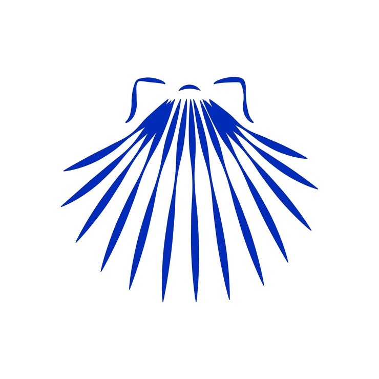 Vector plantilla de diseño de logotipo de concha de vieira moderna