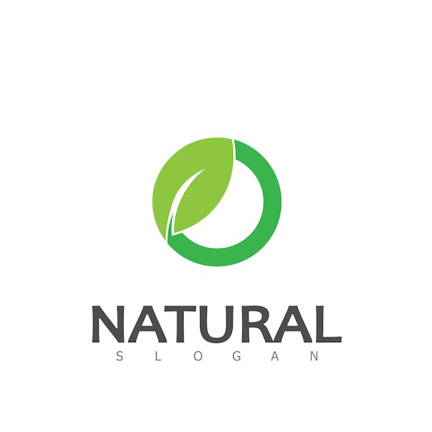 Plantilla de diseño de logotipo ecológico de naturaleza de hoja natural