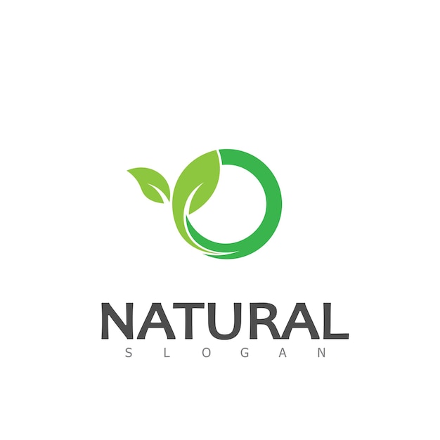 Plantilla de diseño de logotipo ecológico de naturaleza de hoja natural