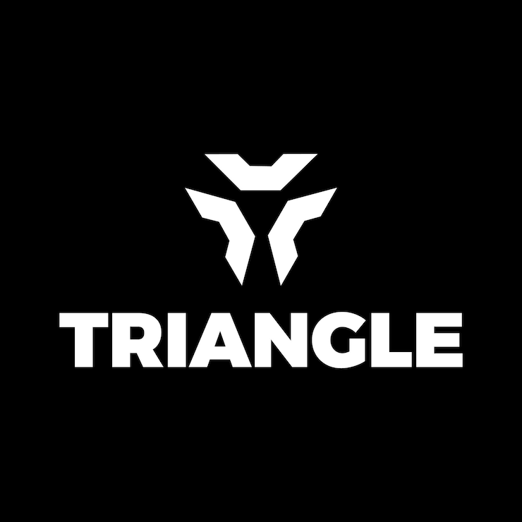 plantilla de diseño de logotipo geométrico triangular