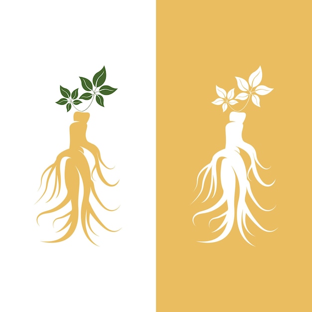 Plantilla de diseño de logotipo de ginseng e icono de símbolo