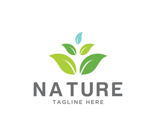 Plantilla de diseño de logotipo de hoja