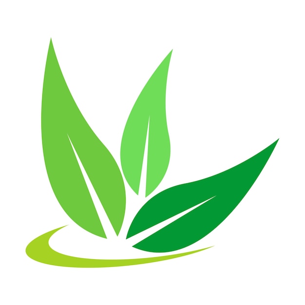 Plantilla de diseño de logotipo de icono de hoja natural de hoja verde