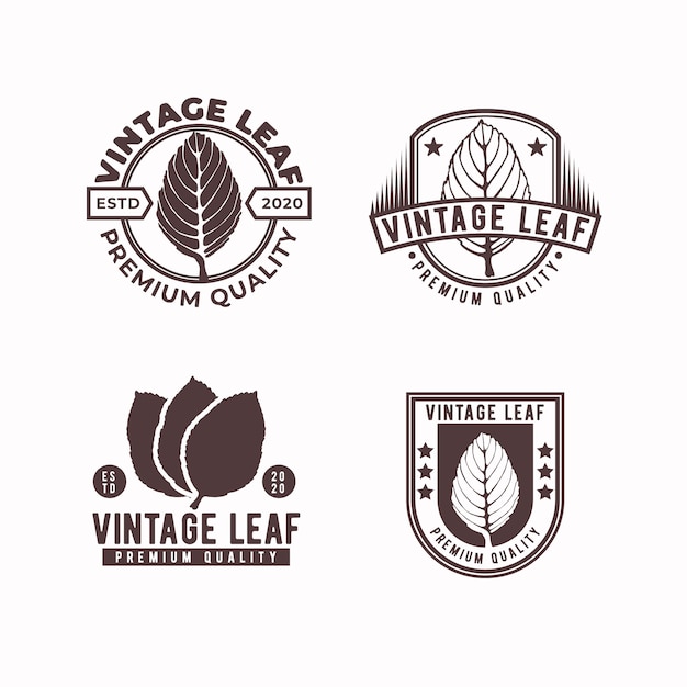 Plantilla de diseño de logotipo de insignia vintage de hoja