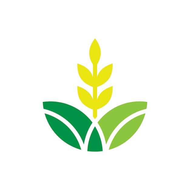 Plantilla de diseño de logotipo de maíz vector ilustración aislada