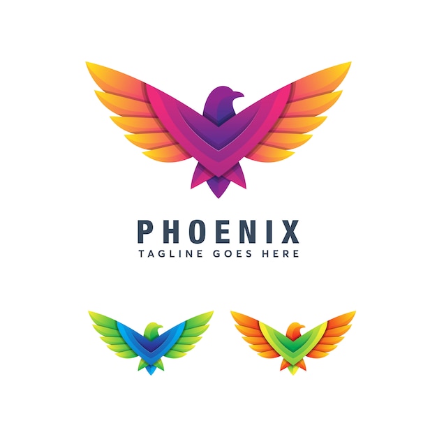 Plantilla de diseño de logotipo moderno colorido pájaro eagle hawk