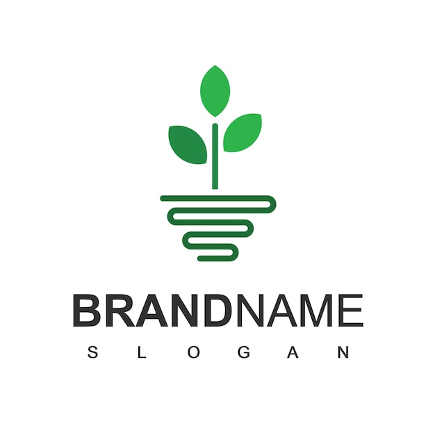 Plantilla de diseño de logotipo de planta de salud