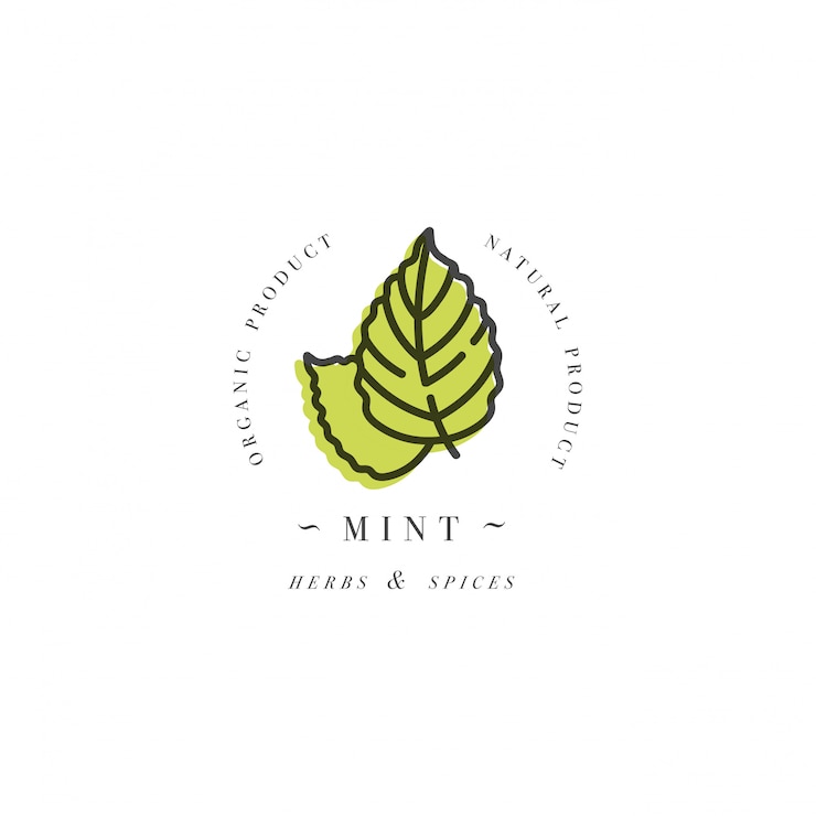 Plantilla de diseño de packaging logotipo y emblema - hierba y especias - hoja de menta. Logotipo en estilo lineal de moda.