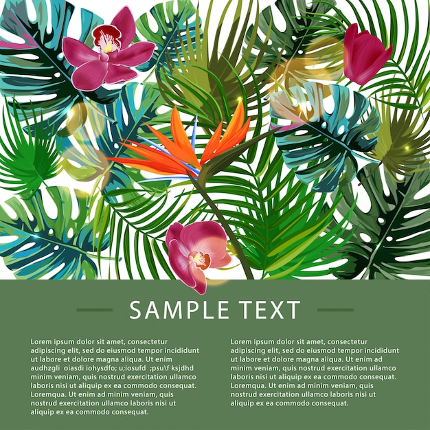 Plantilla de diseño de plantas tropicales.