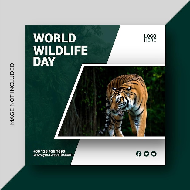 plantilla de diseño de publicaciones en las redes sociales del Día Mundial de la Vida Silvestre