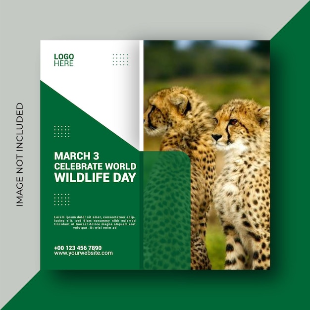 Vector plantilla de diseño de publicaciones en las redes sociales del día mundial de la vida silvestre