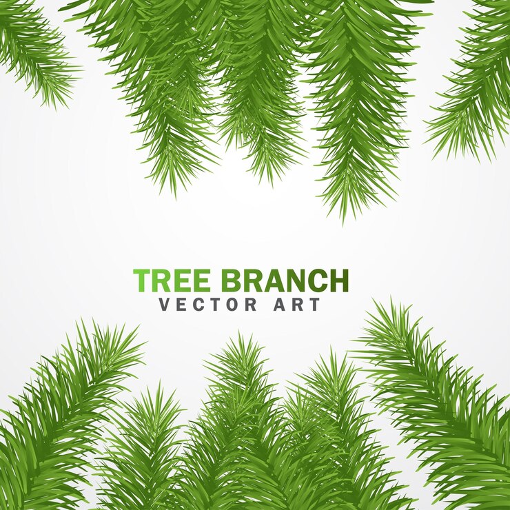 Vector plantilla de diseño de rama de palma realista de color verde en un fondo blanco aislado