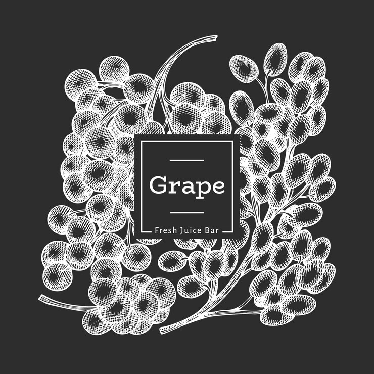 Vector plantilla de diseño de uva. mano dibuja la ilustración de baya de uva en pizarra. grabado estilo retro botánica banner.