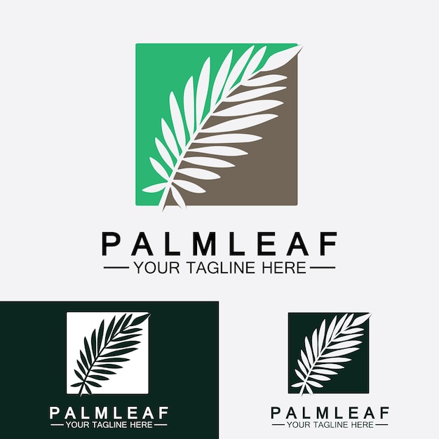 Plantilla de diseño de vector de logotipo de hoja de palma tropical