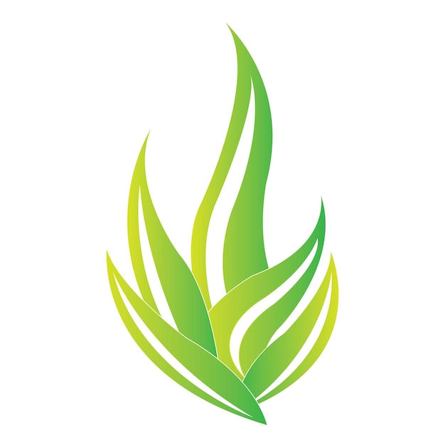 Plantilla de diseño de vector de logotipo de icono de aloe vera