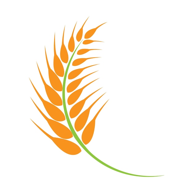Plantilla de diseño de vector de logotipo de icono de arroz