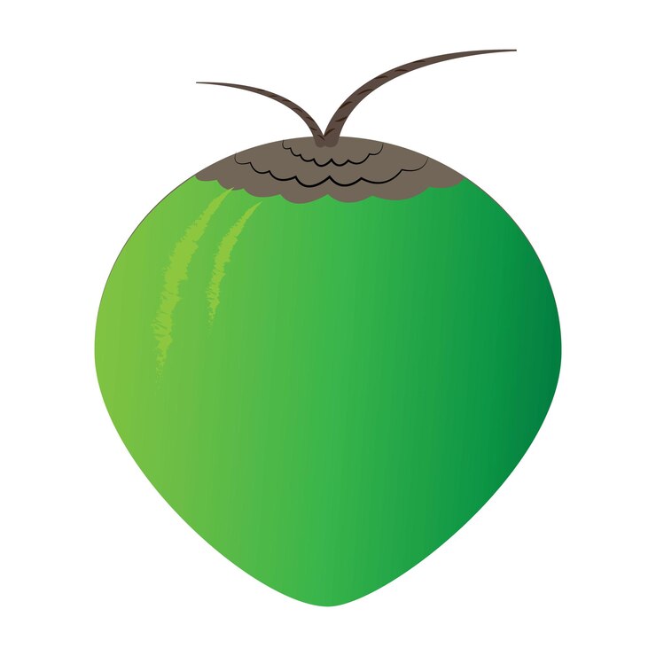 Vector plantilla de diseño de vector de logotipo de icono de coco