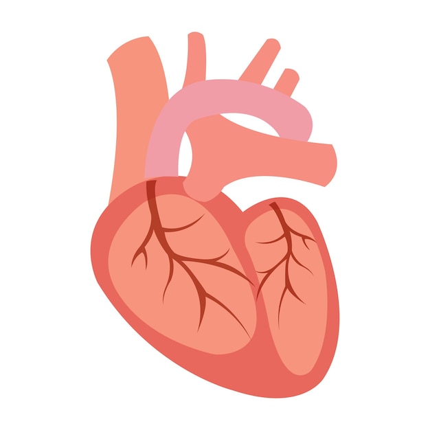 Plantilla de diseño de vector de logotipo de icono de corazón