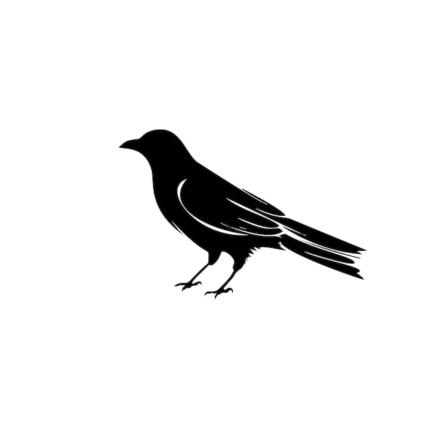 Plantilla de diseño de vector de logotipo de pájaro en fondo blanco aislado