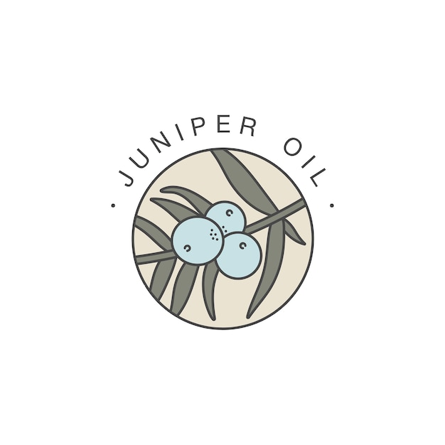 Plantilla de diseño vectorial y emblema - aceite saludable y cosmético. Aceite natural y ecológico de Jiníper. Logo colorido en estilo lineal de moda.